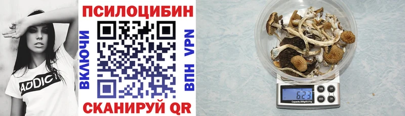Галлюциногенные грибы Magic Shrooms  Купить где  Карталы 